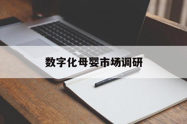 吉林市数字化母婴市场调研(数字化母婴市场调研报告)