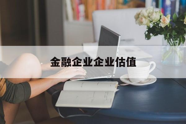 吉林市金融企业企业估值(最新企业估值怎么填)